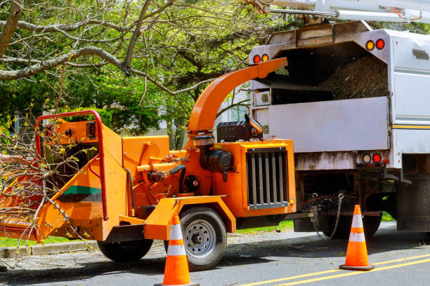 Reliable Mchenry, IL Tree Services Solutions